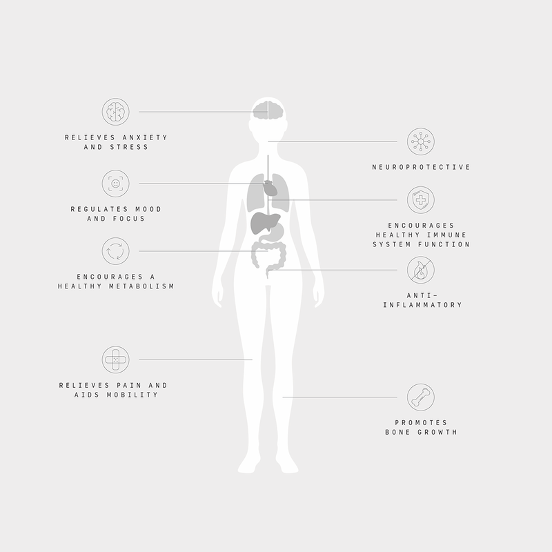 The Endocannabinoid System Diagram Unique CBD How CBD can help the Human Body