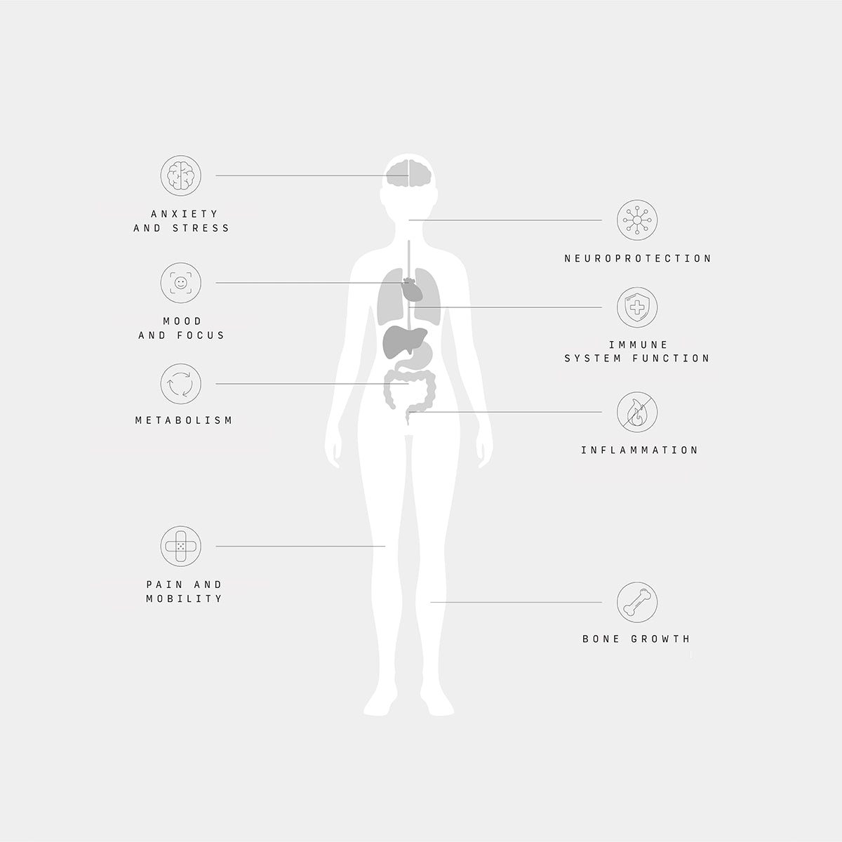 The endocannabinoid system diagram